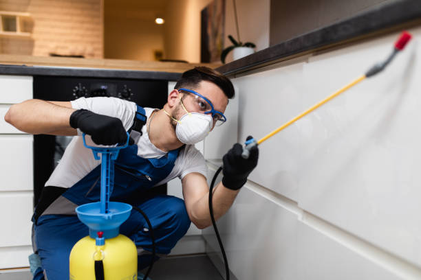Best Mosquito Control Services  in Moosup, CT