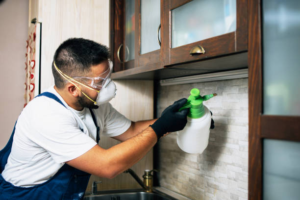 Insect Control in Moosup, CT