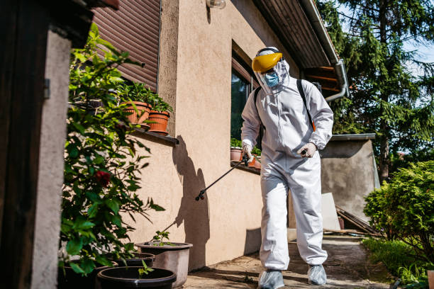 Best Residential Pest Control  in Moosup, CT