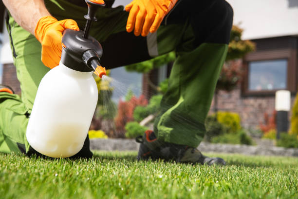 Best Pest Control Near Me  in Moosup, CT
