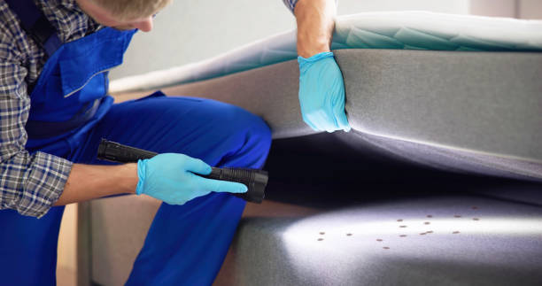 Professional Pest Control in Moosup, CT