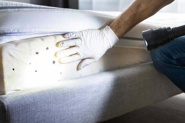 Best Pest Removal Services  in Moosup, CT