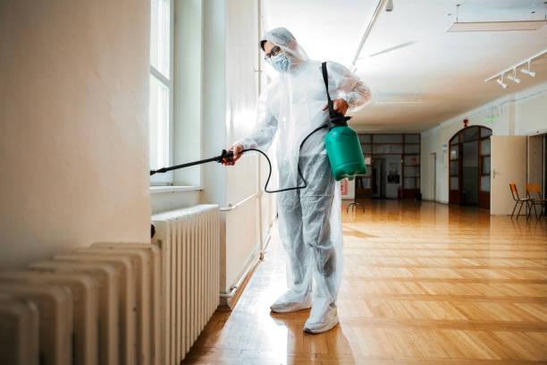 Best Flea Control Services  in Moosup, CT