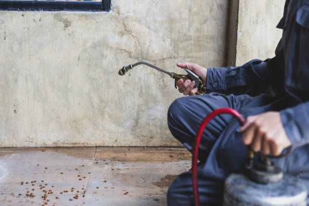 Best Best Pest Control Companies  in Moosup, CT